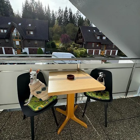 Frei 4 Compact Hinterzarten