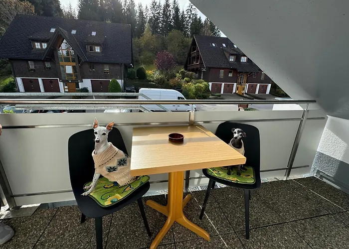 Frei 4 Compact Hinterzarten